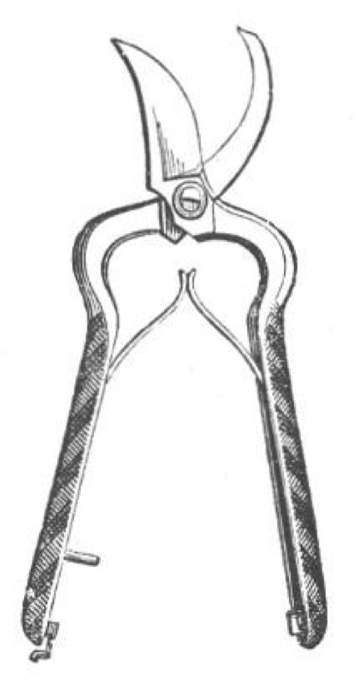 Secateurs: Forged Bypass Pruning Shears with a Spring and Catch