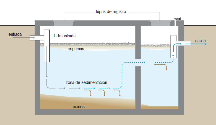 The Septic Tank