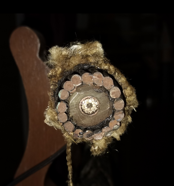 The Submarine Telegraph Cable