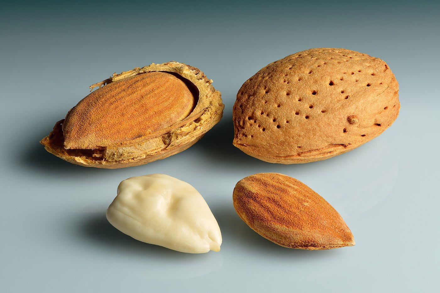 Sweet Almond Oil: Almonds Pressed Cold