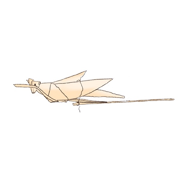 ขั้นตอนที่ 6 - Image 1
