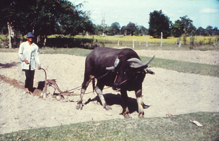Passo 5 - Image 1