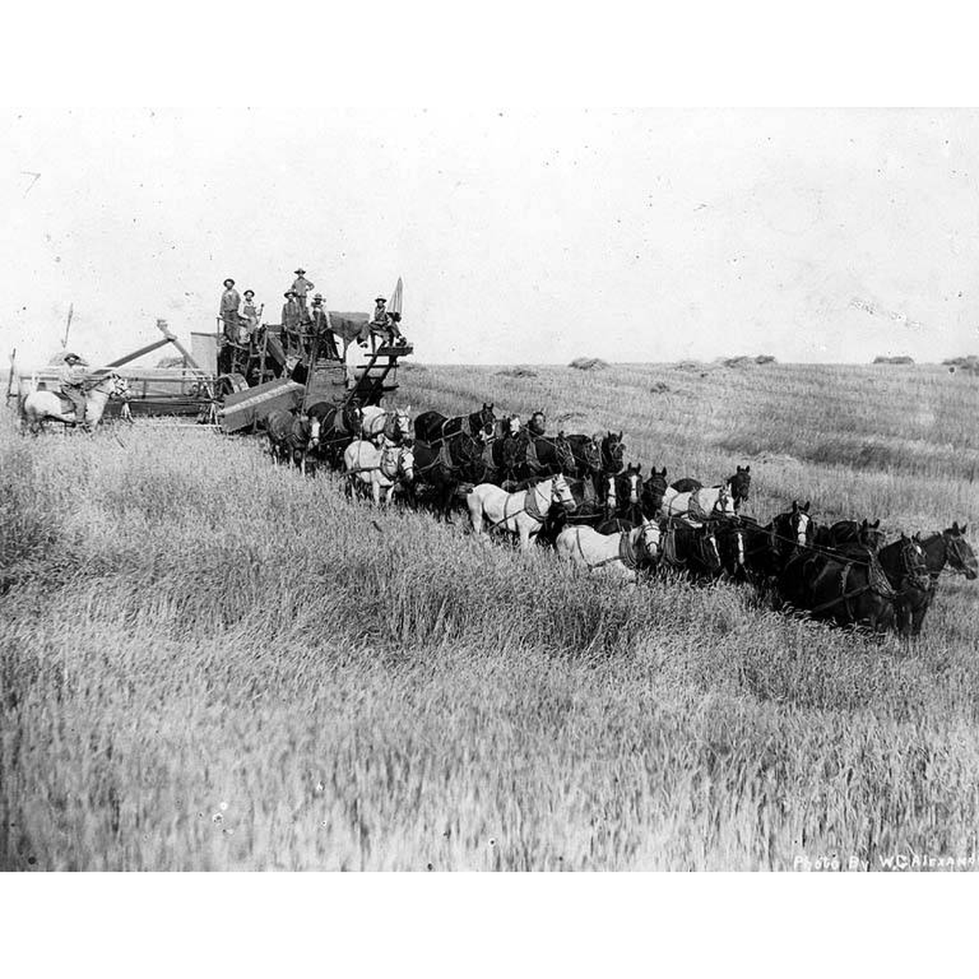 The Combine Harvester: Cut, Thresh, Separate and Clean in One Pass