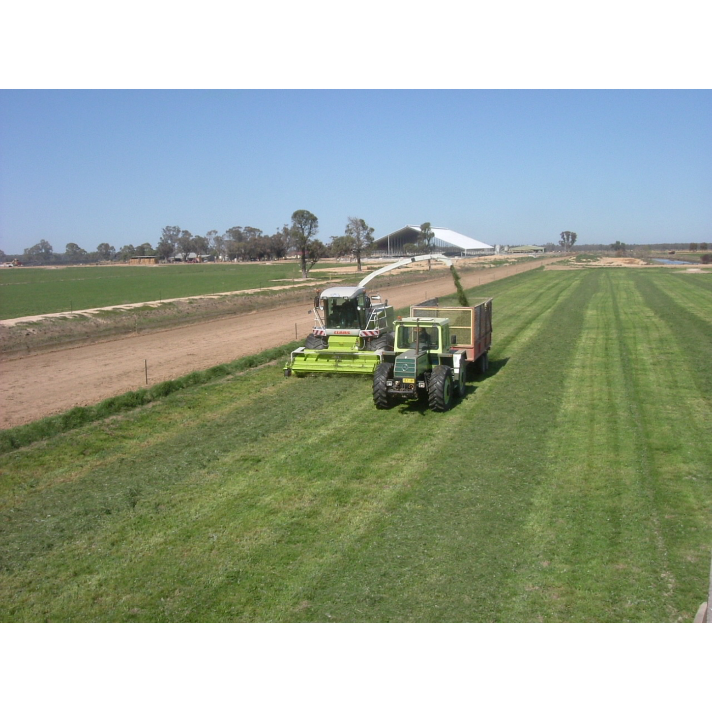 The Forage Harvester: Chopping Green Crop to a Set Length