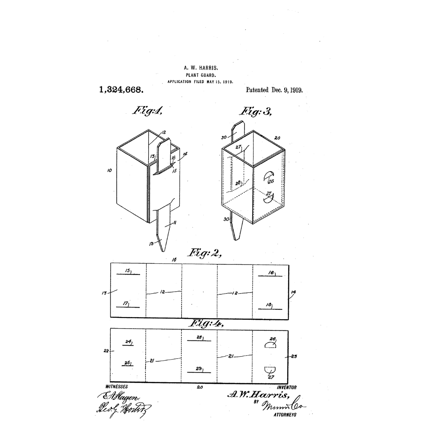 The Label-Anchored Plant Guard: A Folded Card Collar Pinned Down by the Plant's Own Label