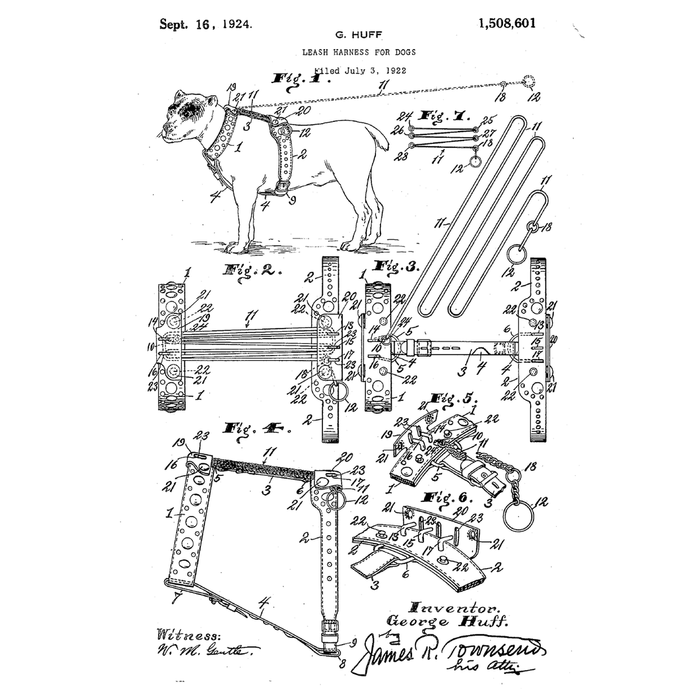 The Leash Harness: The Dog Carries Its Own Leash