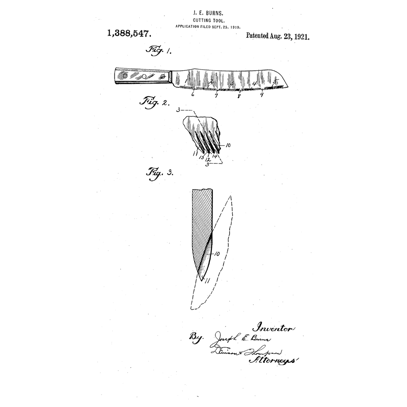 The Serrated Bread Knife: Teeth That Cut Both Ways