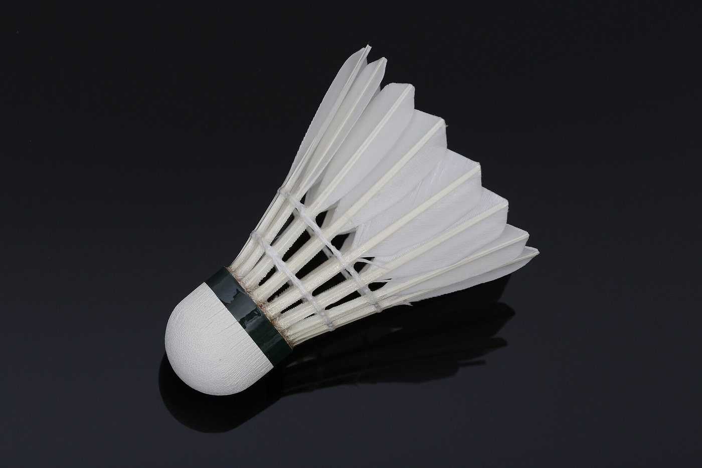 The Shuttlecock