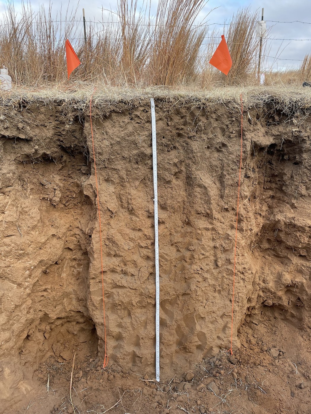 The Soil Pit: Texture, Structure and What It Will Grow