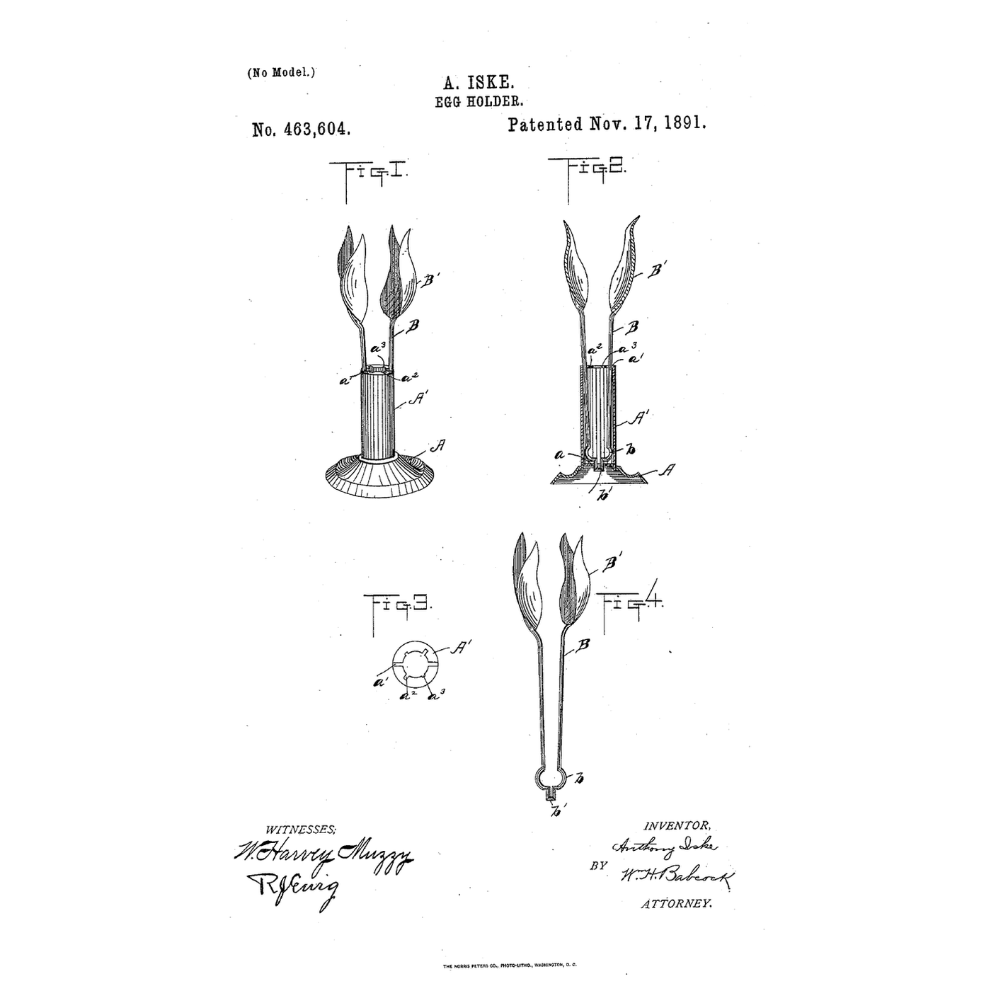 The Spring-Fork Egg Holder: Notches of Different Depths Set the Jaws to the Egg