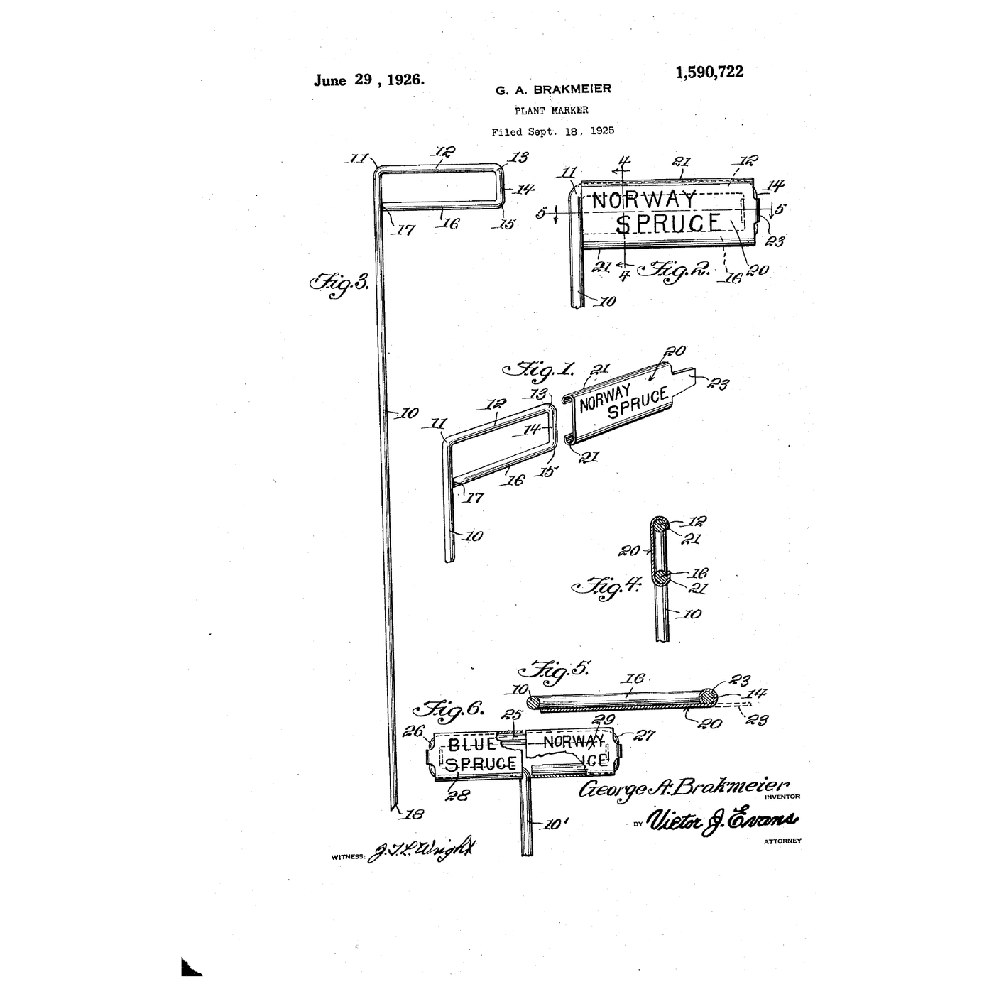 The Wire-Loop Plant Marker: The Handle You Push With Carries the Name