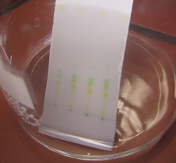 Thin-Layer Chromatography: Making Your Own Plates
