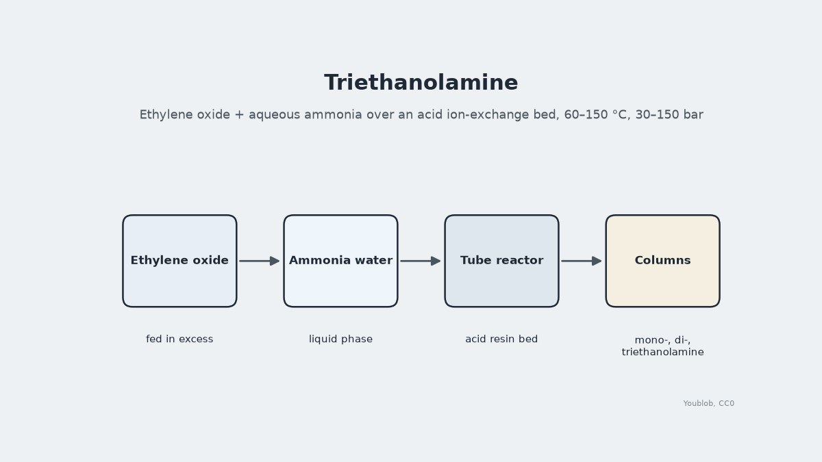 Triethanolamine from Ethylene Oxide and Aqueous Ammonia
