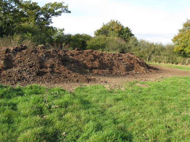 Rotting Cattle Dung in a Field Dunghill: Forming and Turning