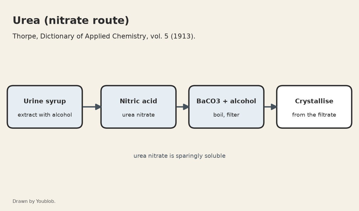 Urea: Extracted from Urine with Alcohol, Precipitated as the Nitrate, Freed with Barium Carbonate