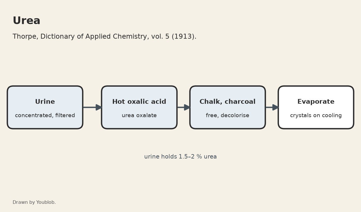 Urea: Separated from Urine as the Oxalate, Freed with Chalk and Crystallised