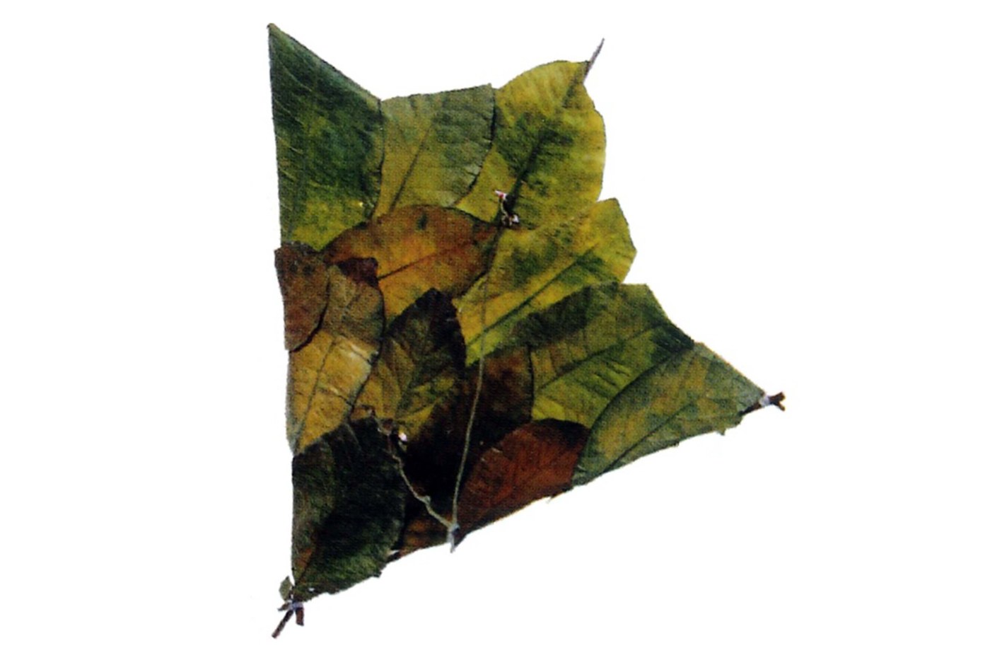 Passo 6 - Image 1